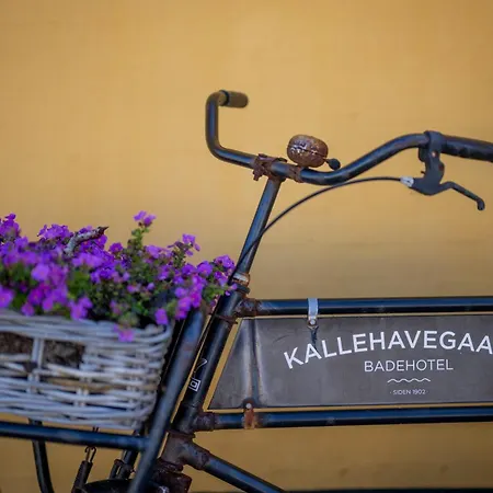 فندق Kallehavegaard