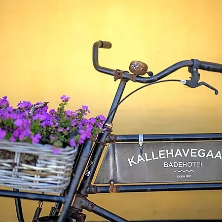 Kallehavegaard Og Restaurant Hotel 3*