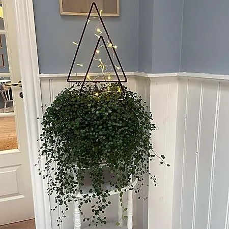 Hotel Kallehavegaard Og Restaurant Løkken